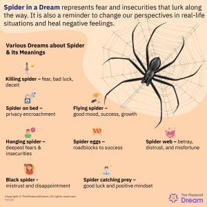 Exploring the Various Significances of Spiders within Hair Envisions