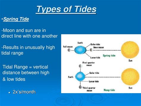 Exploring the Various Types of Oceanic Tidal Waves