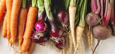 Exploring the Wide Array of Options: Root Vegetables for Every Season