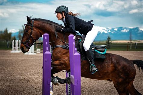 Exploring the World of Horse Riding: Unveiling the Path to Your Equestrian Wonderland