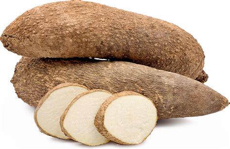 Exploring the World of Yams: Origins and Cultural Significance