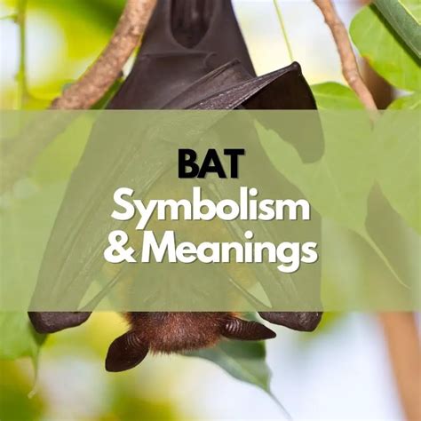 Exploring the cultural and historical symbolism associated with bats