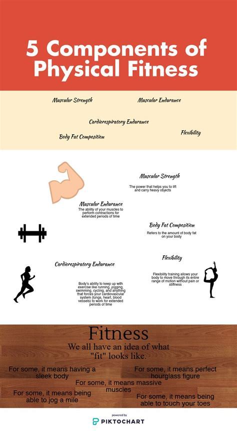 Exploring the physical attributes and fitness regime of the accomplished individual