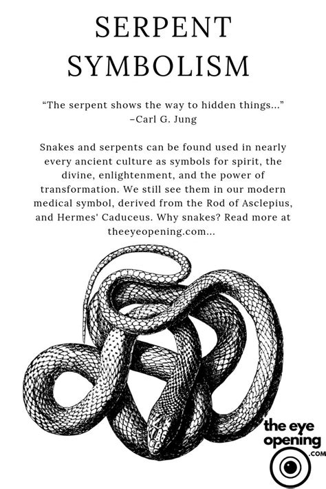 Exploring the symbolism of a serpent