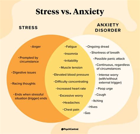 Facing Fear: Deciphering the Anxiety and Stress Reflected in Deluge Nightmares