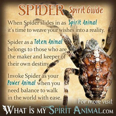 Facing Fear and Confronting Shadows: Analyzing Spider Symbolism