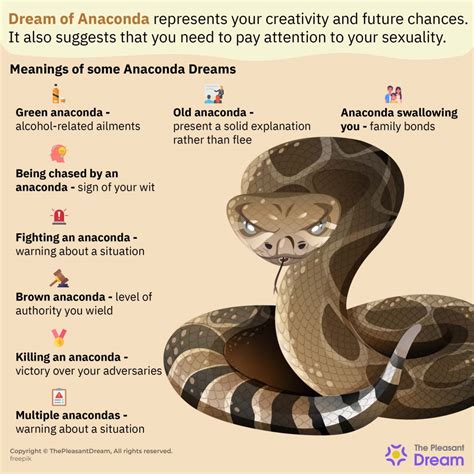 Facing Your Fears: Overcoming Negative Connotations Attached to Python Dreams