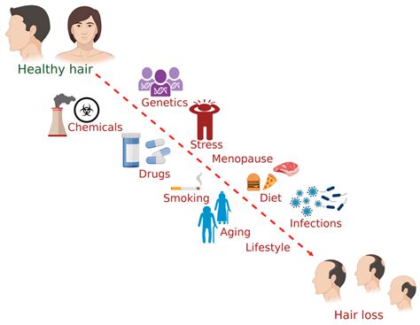 Factors Impacting the Rate of Hair Growth