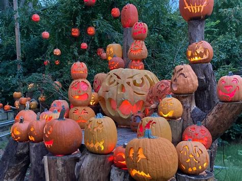 Fall into Pumpkin Bliss: A Guide to the Perfect Pumpkin Patch Experience