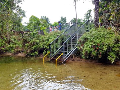 Famous Locations for Alligator Swimming Adventures