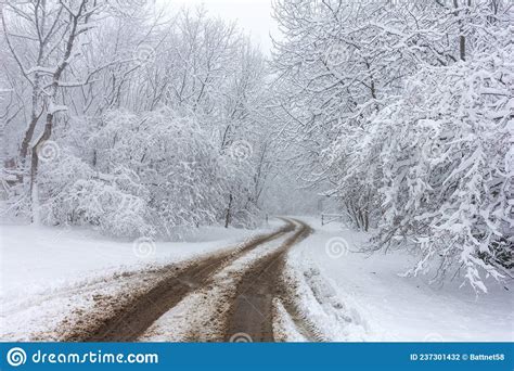 Fascination and Mystery of Snow Enveloped Spaces