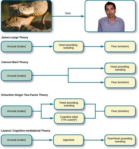 Fear or Opportunity? Interpreting the Emotions Associated with Snakes in Purses