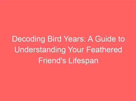 Feathered Friends: Decoding the Significance of Various Avian Species