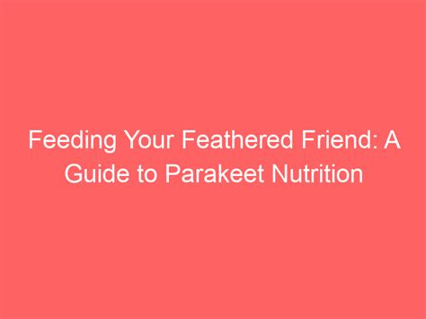 Feeding Your Parakeet: A Nutritional Guide