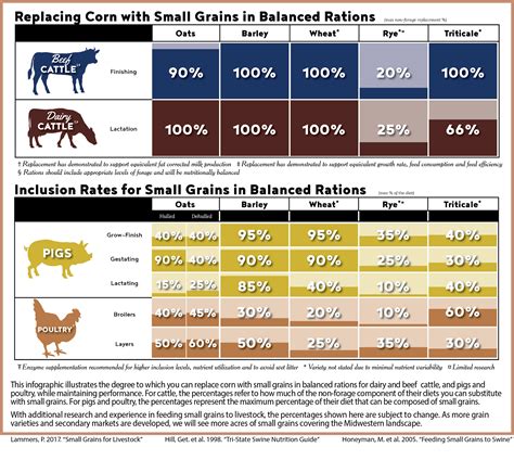 Feeding Your Pig: Maintaining Optimal Health with a Well-Balanced Diet