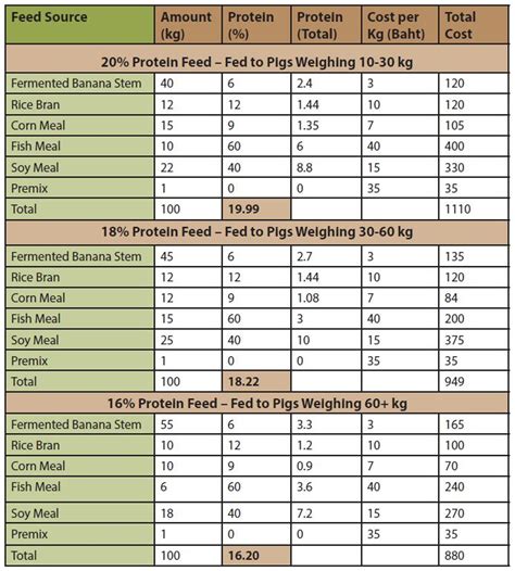 Feeding Your Pig: Nutritional Needs and Dietary Recommendations