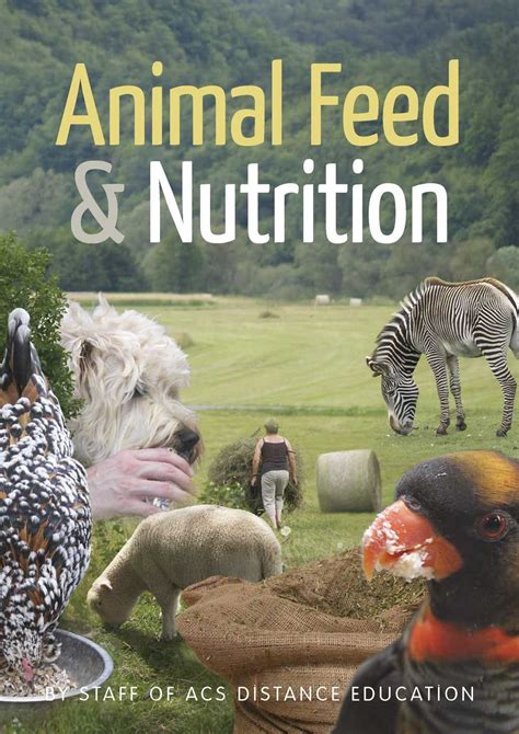 Feeding and Nutrition: Catering to the Dietary Requirements of Your Majestic Rhino