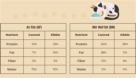 Feeding and Nutrition: Vital for Thriving Kittens