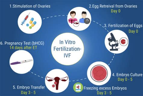 Fertility Concerns or Aspiration for Autonomy?