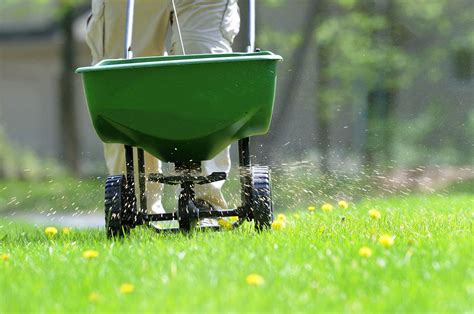 Fertilizing Tips: Nourishing Your Turf for Maximum Growth