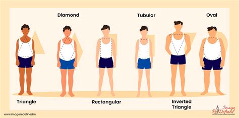 Figure: Analysis of Meriesa Arroyo's Body Shape and Fitness