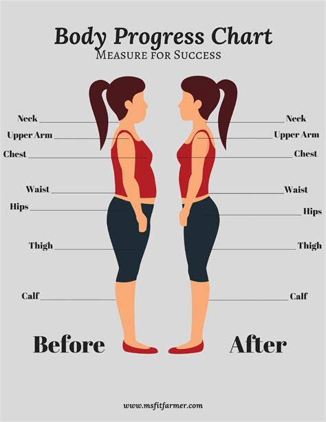 Figure: Samantha's Fitness Journey and Body Measurements