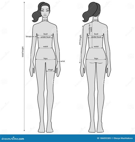 Figure and Body Measurements
