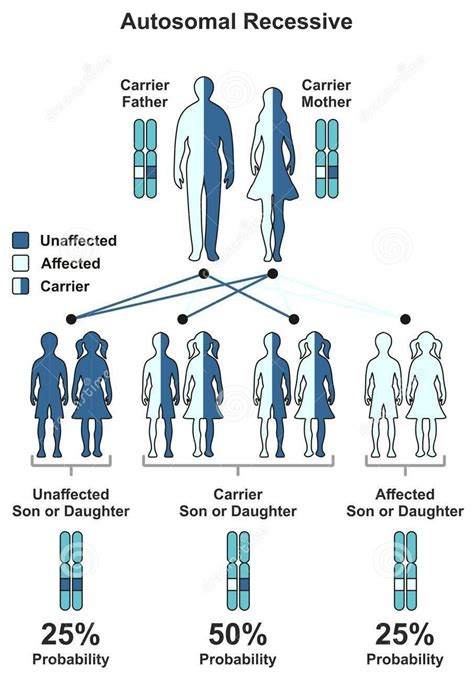 Finding Balance and Decision-making: Factors to Consider in Consanguineous Relationships