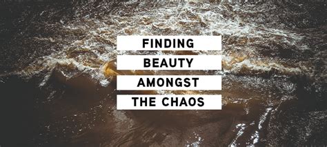 Finding Beauty in the Chaos of Existence