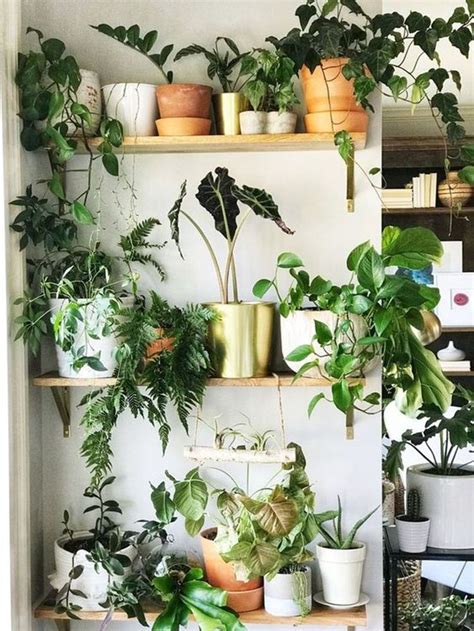 Finding Inspiration for Your Tiny Plant Project