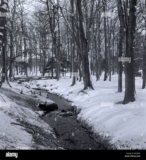 Finding Peace and Serenity: Discover the Tranquility of Snow-Covered Landscapes