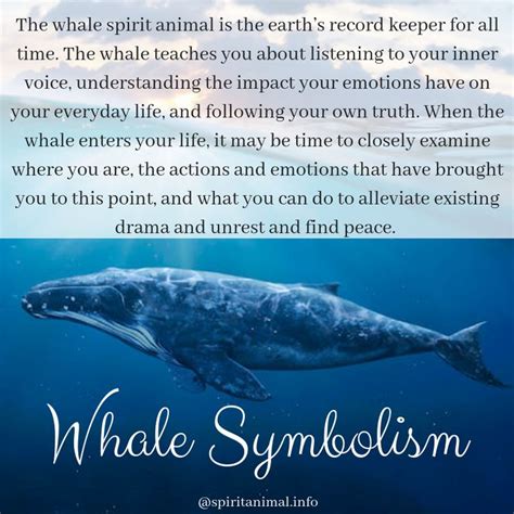 Finding Personal Guidance and Inspiration in Whale Symbolism