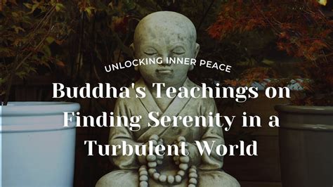 Finding Serenity in a Turbulent World