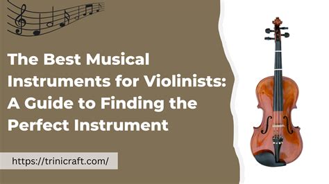 Finding Your Perfect Instrument: An Essential Guide for Novice Violinists