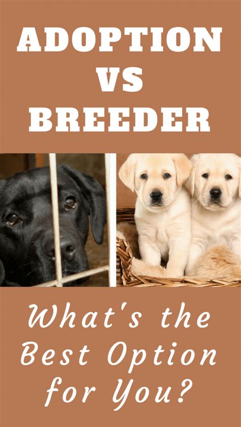 Finding a Trustworthy Breeder or Adoption Shelter