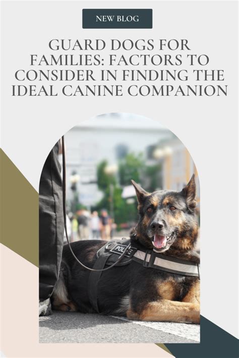 Finding the Ideal Canine Companion: Advice for Animal Enthusiasts