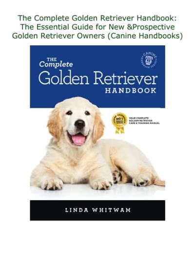 Finding the Ideal Golden Canine: A Comprehensive Guide for Prospective Canine Owners