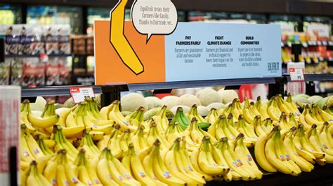 Finding the Ideal Suppliers for Your Profitable Banana Enterprise