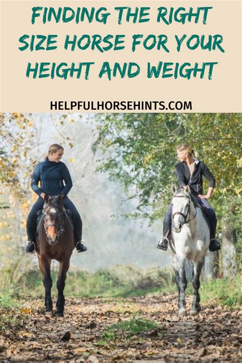 Finding the Perfect Horse: A Guide to Selecting the Right Companion