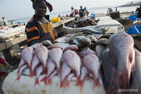 Fishing Black Market: A Lucrative Business for Illegal Fish Traders