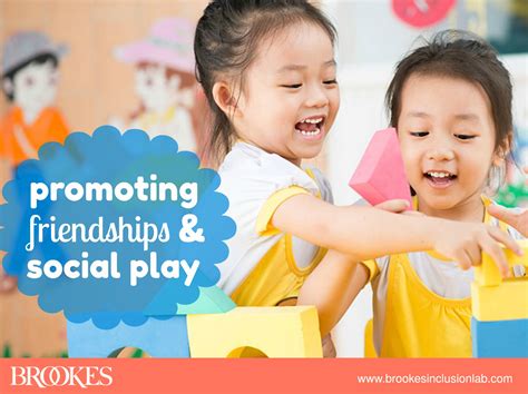 Fostering Social Inclusion: Promoting Friendship and Interaction through Accessible Play