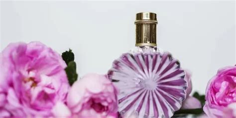 Fragrance and Dreams: Unveiling the Link Between Scents and Dreamland