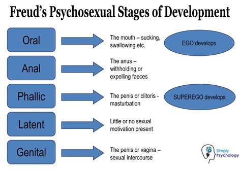 Freudian Analysis: Unveiling the Psychosexual Significance Behind Dreaming of Used Tampons