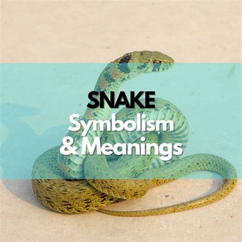 From Ancient Mythology to Modern Interpretations: Tracing the History of Snake Symbolism