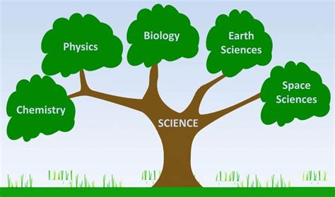 From Art to Science: Copying in Various Fields