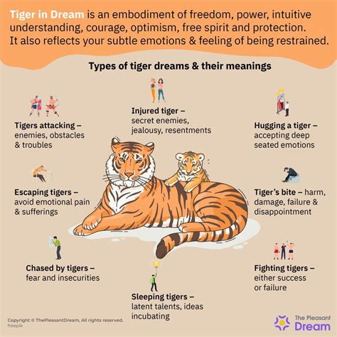 From Courage to Power: Deciphering the Significance of Tiger and Lion Dream Interpretations