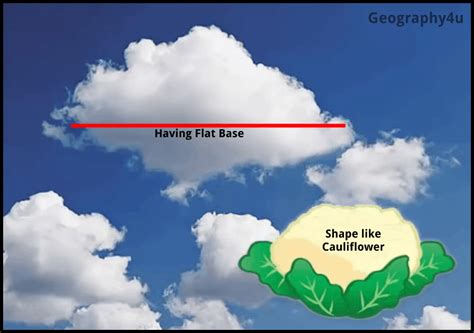 From Cumulus to Stratus: Understanding the Lifecycle of Clouds