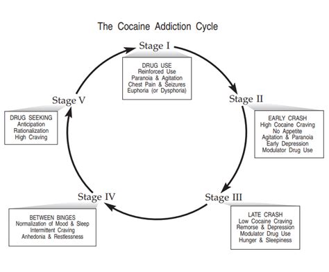 From Exhilaration to Desperation: The Cycle of Cocaine Addiction