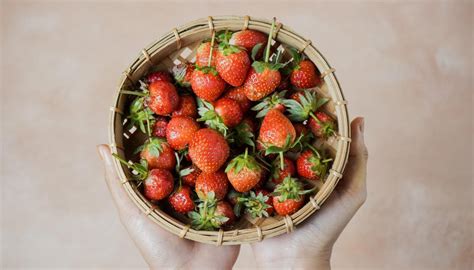 From Farm to Fork: How Farmers Cultivate the Perfect Strawberries for Pies