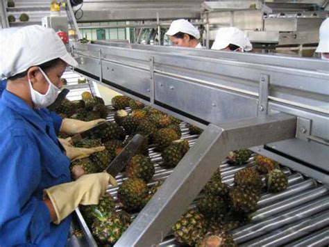 From Farm to Glass: The Voyage of Pineapple Juice Production